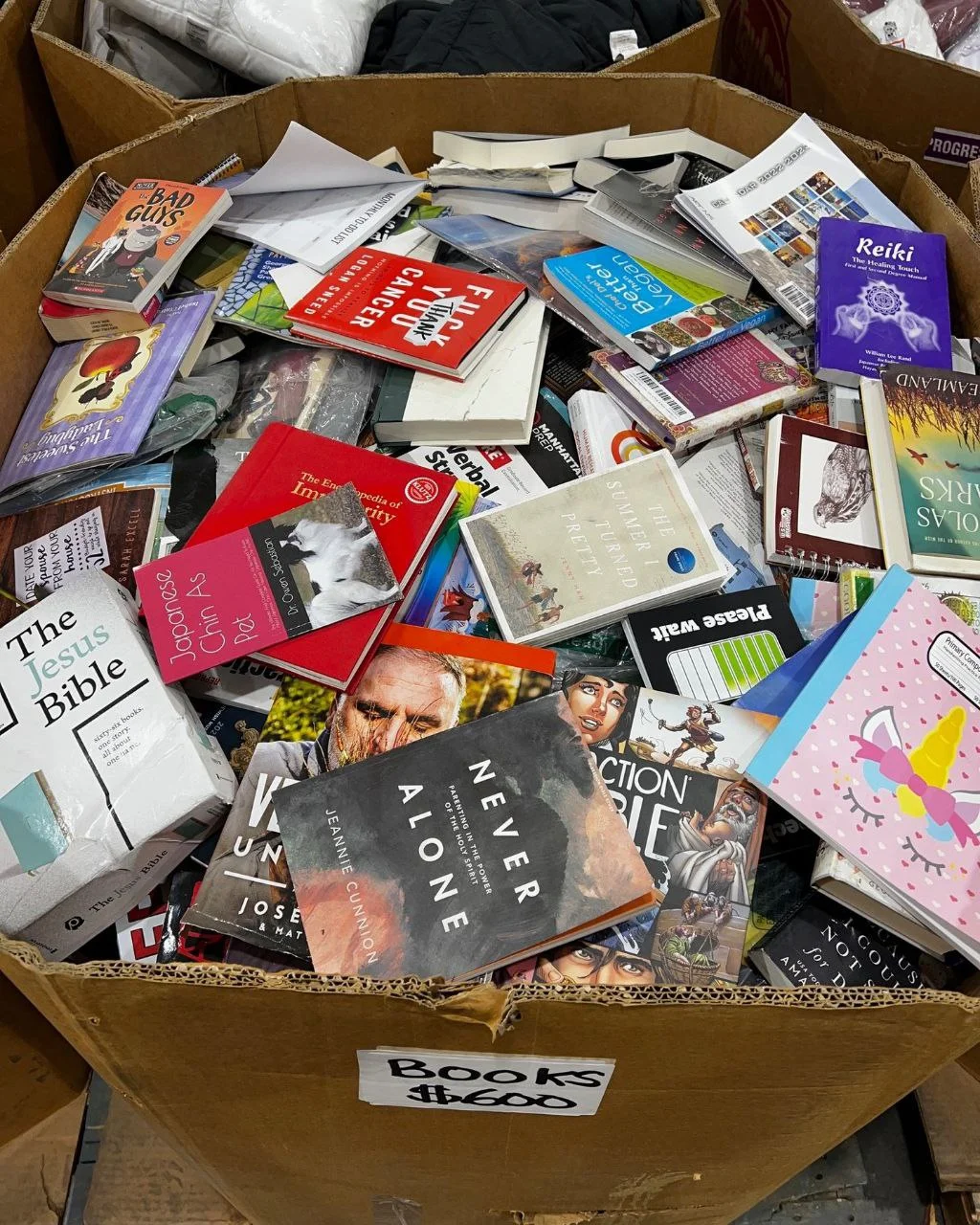 Wholesale Books Liquidation Pallets Books liquidation pallet of assorted titles wrapped for shipping from Save More Liquidations