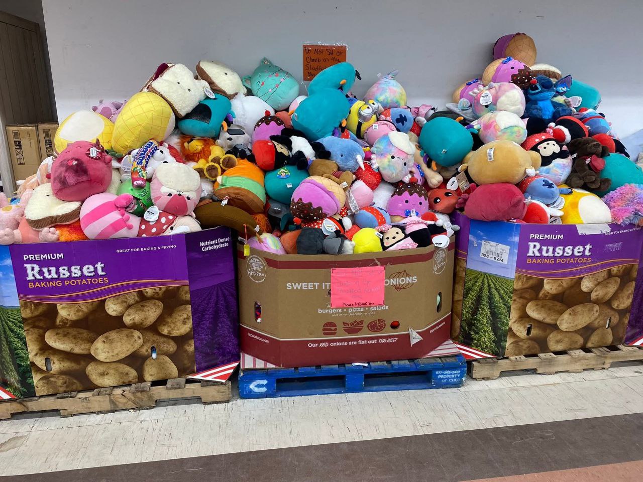 Buy Wholesale Dog Toys By The Pallet (500 Units – $550) Wholesale dog toys pallet of 500 assorted pet toys boxed for shipping from Save More Liquidations