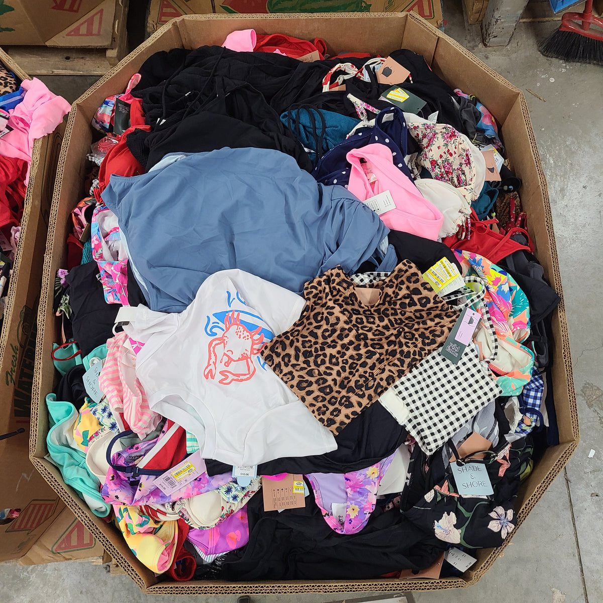 target-swimsuits-800-900-pieces-3.jpg